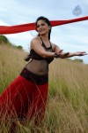 Anushka Hot Gallery - 58 of 74