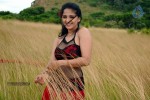 Anushka Hot Gallery - 17 of 74