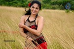 Anushka Hot Gallery - 21 of 74