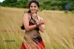 Anushka Hot Gallery - 28 of 74