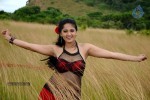 Anushka Hot Gallery - 72 of 74