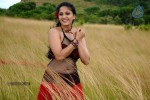 Anushka Hot Gallery - 73 of 74