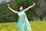 Anushka Hot Photos - 5 of 52