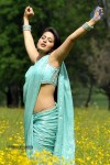 Anushka Hot Photos - 29 of 52