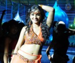 Anushka Spicy Stills - 37 of 33