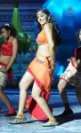 Anushka Spicy Stills - 18 of 33