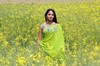 Anushka Hot - 96 of 111
