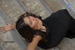 Bhaja Bhajantrilu Movie Hot Stills - 33 of 46