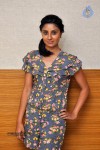 Bhanu Sri Mehra Hot Stills - 33 of 78