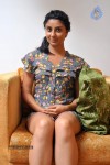 Bhanu Sri Mehra Hot Stills - 45 of 78