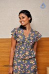 Bhanu Sri Mehra Hot Stills - 48 of 78