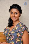 Bhanu Sri Mehra Hot Stills - 63 of 78