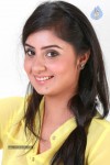 Bhanu Sri Mehra New Spicy Stills - 36 of 70