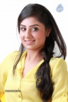 Bhanu Sri Mehra New Spicy Stills - 60 of 70