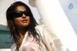 Bindu Madhavi Hot Photos - 67 of 102