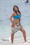Bindu Madhavi Hot Photos - 71 of 102