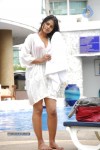 Bindu Madhavi Hot Photos - 72 of 102