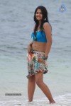 Bindu Madhavi Hot Photos - 77 of 102
