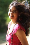 Bindu Madhavi Hot Photos - 16 of 102