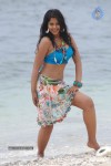 Bindu Madhavi Hot Photos - 19 of 102