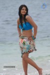 Bindu Madhavi Hot Photos - 38 of 102