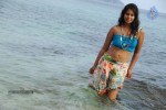 Bindu Madhavi Hot Photos - 41 of 102
