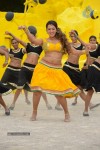 Ester Noronha New Hot Photos - 60 of 90