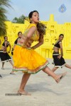 Ester Noronha New Hot Photos - 23 of 90