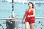 Farah Khan Spicy Gallery - 41 of 92