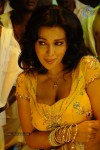 Flora Saini Spicy Stills - 23 of 69
