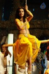 Flora Saini Spicy Stills - 65 of 69