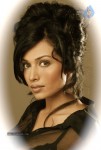 Flora Saini Spicy Stills - 24 of 24