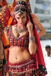 Gabriela Bertante Item Song Stills in DCM - 28 of 41