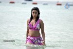 Harika (Payal Ghosh) Spicy Photos - 9 of 25