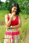 Harika (Payal Ghosh) Spicy Photos - 12 of 25