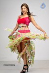 Harika (Payal Ghosh) Spicy Photos - 17 of 25