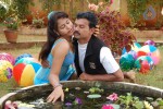 Intlo Ramudu Veedhilo Manmadhudu Hot Stills - 15 of 23