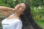 Ivan Yaroo Tamil Movie Hot Stills - 10 of 41