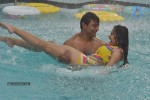 Ivan Yaroo Tamil Movie Hot Stills - 23 of 41