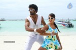 Jagan Nirdoshi Movie Hot Stills - 2 of 36