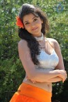 Kajal Agarwal Hot Photos - 20 of 42