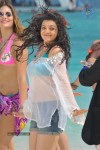 Kajal Agarwal Hot Stills - 35 of 36