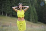 Kajal Agarwal New Hot Photos - 5 of 50