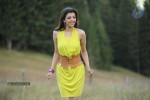 Kajal Agarwal New Hot Photos - 34 of 50