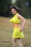 Kajal Agarwal New Hot Photos - 40 of 50