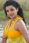 Kajal Agarwal New Hot Stills  - 11 of 90