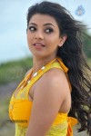 Kajal Agarwal New Hot Stills  - 82 of 90