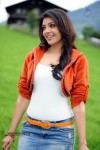 Kajal Agarwal Spicy Photos - 5 of 55