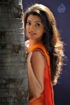 Kajal Agarwal Spicy Stills - 16 of 74