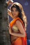 Kajal Agarwal Spicy Stills - 72 of 74